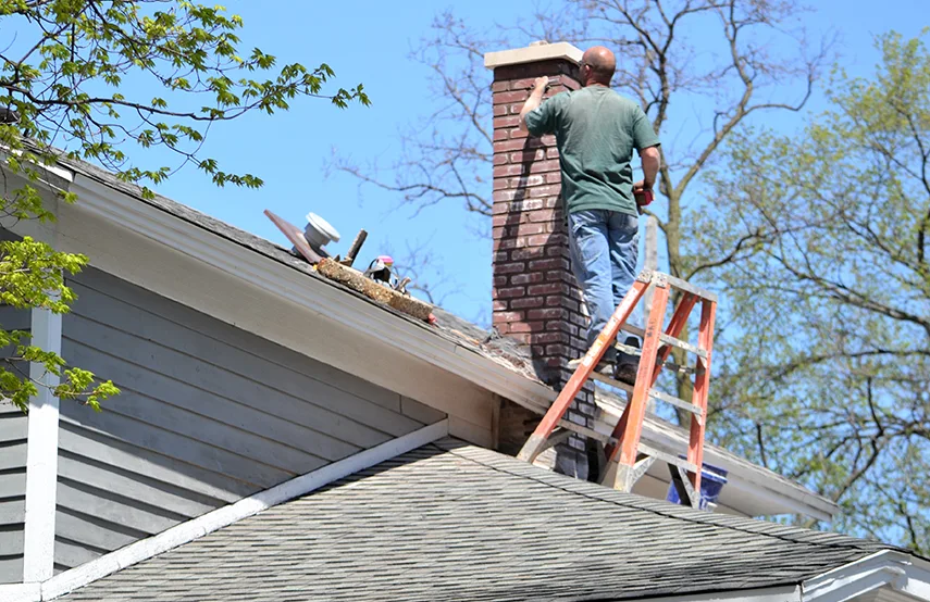 Chimney & Fireplace Inspections Services in Mankato, MN